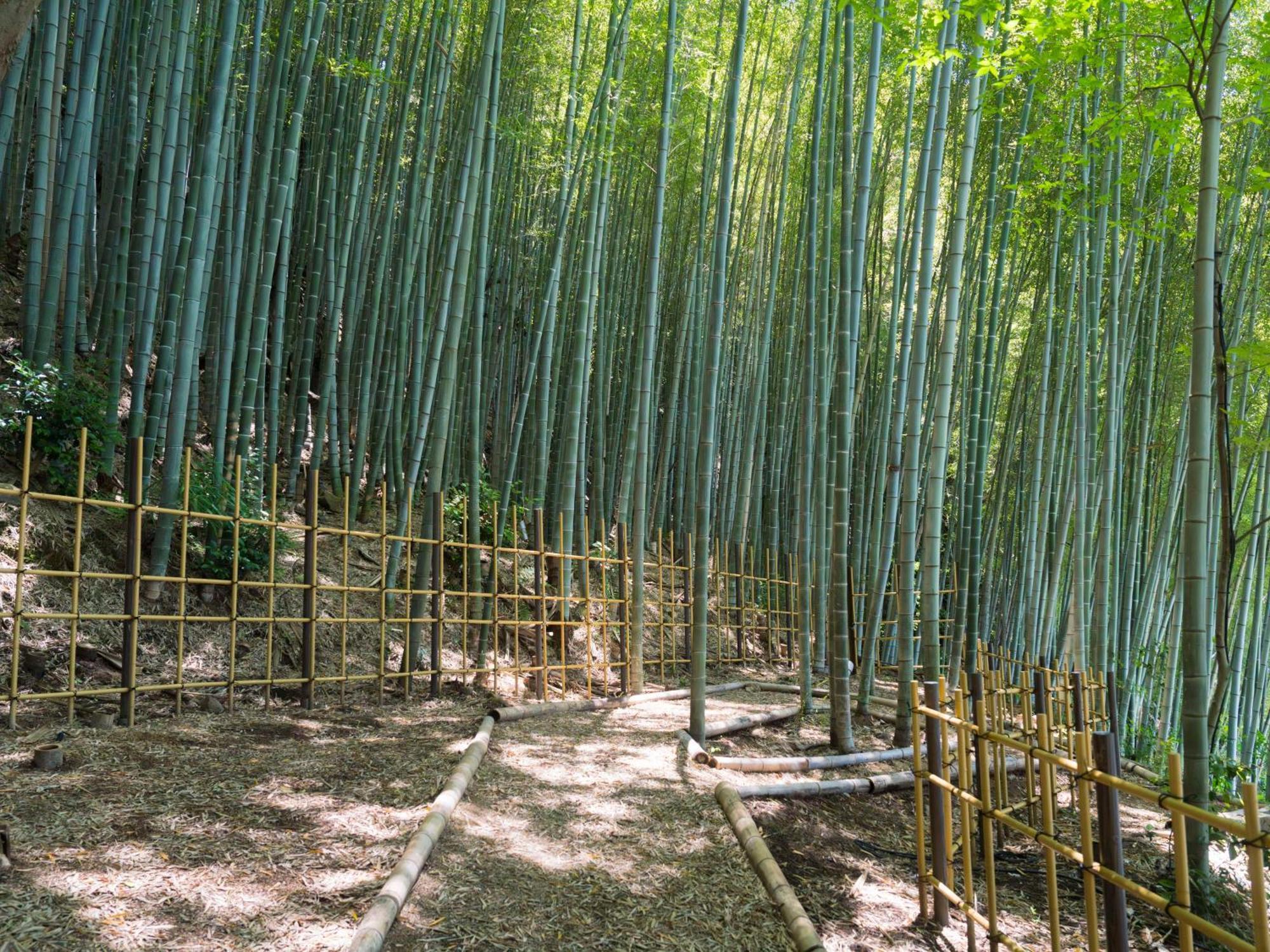 Banyan Tree Higashiyama Kyoto Hotel Buitenkant foto